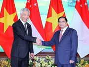 Visite officielle du Premier ministre Lee Hsien Loong au Vietnam