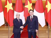 Le président de la Chambre des conseillers du Japon en visite officielle au Vietnam