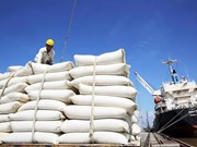 Le Vietnam, 1er exportateur mondial de riz