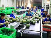 Les exportations de fruits et légumes établiront de nouveaux records en 2023