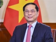 2023 - Une année réussie pour la diplomatie vietnamienne