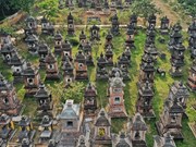 La beauté mystérieuse de la pagode Bô Dà à Bac Giang