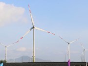 Transition vers les énergies renouvelables: le Vietnam dans le trio de tête en Asie-Pacifique