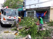 Le typhon Molave fait des ravages à Quang Ngai