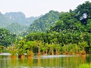 Le Vietnam parmi les 16 pays les plus riches en biodiversité