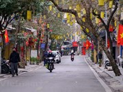 Rues paisibles de Hanoï le premier jour de l'Année du Tigre