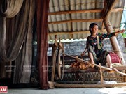 Le tissage du lin chez les H’mông à Ha Giang
