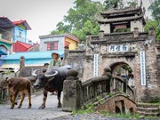 À Hanoi, l'ancien village de Uoc Lê défie le temps
