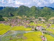 La beauté époustouflante de la vallée de Bac Son (Lang Son) à la saison des moissons
