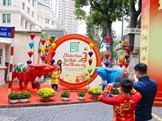Découvrir la rue de livres de Hanoï les premiers jours du Nouvel An du Buffle