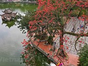 Des faubourgs de Hanoi à la couleur rouge