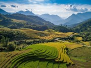 Le Vietnam, pays des sites pittoresques