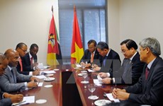 Le vice-PM Hoang Trung Hai termine sa visite officielle au Mozambique 