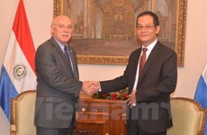 Vietnam et Paraguay commémorent les 20 ans de relations diplomatiques 