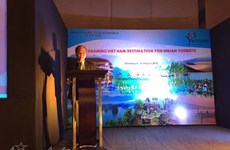 Promotion du tourisme vietnamien en Inde 