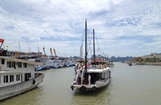Tourisme : Ouverture du port de Tuan Chau à Quang Ninh