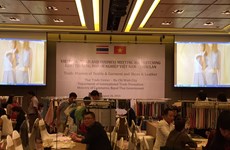Programme de match-meeting entre entreprises vietnamiennes et thaïlandaises 