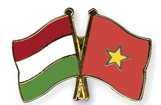 L’Association d’amitié Vietnam-Hongrie à l’honneur