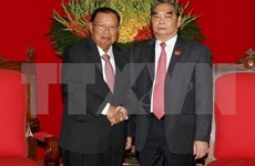 Le Vietnam souhaite consolider l’amitié et la solidarité avec le Laos 