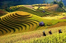 Semaine culturelle et touristique des rizières en terrasses de Mù Cang Chai 