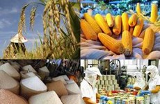 Le Vietnam promeut ses exportations de produits agricoles vers Singapour