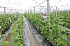 Agriculture: le Vietnam recense plus de 700 projets d’IDE 