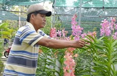 Renforcement de l'octroi des crédits à l'agriculture au Vietnam