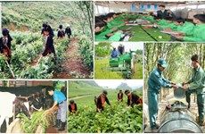 FAO et le Vietnam, côte à côte dans la lutte contre la pauvreté 