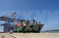 Un grand cargo de 160.000 tonnes mouille au port de Cai Mep-Thi Vai