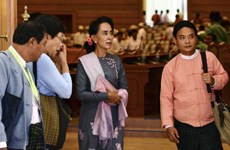 Myanmar : Aung San Suu Kyi au Parlement après sa victoire historique