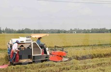 Le Venezuela ratifie des accords de coopération dans l’agriculture avec le Vietnam