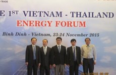 Energie : Premier forum Vietnam-Thaïlande à Binh Dinh