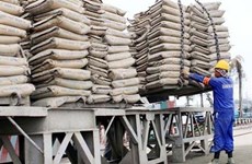 Le Vietnam, 2e exportateur mondial de ciment et clinker
