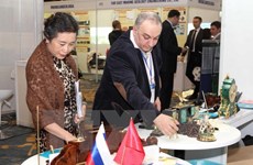 Forum d'affaires Vietnam-Russie