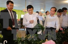Le président Truong Tan Sang salue les modèles agricoles high tech de Lam Dong