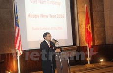 Vietnam-Malaisie : de robustes relations qui se sont affirmées en 2015