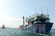 Quang Binh : sauvetage d'un Chinois sinistré en mer