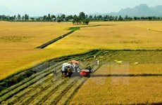 Satake veut fournir des machines agricoles modernes à Can Tho
