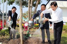 Lancement de la Fête de plantation d'arbres du Printemps Binh Thân 2016