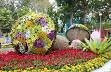 700.000 visiteurs à la Fête des fleurs printanières de Ho Chi Minh-Ville