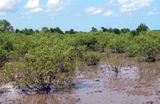 Changement climatique : aide des Pays-Bas au delta du Mékong