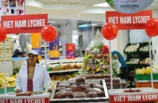 Les EAU, 7e partenaire en commerce du Vietnam