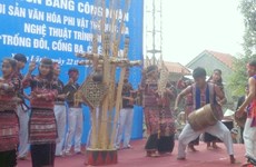 Phu Yên: Orchestre des «deux tambours, trois gongs et cinq cymbales»