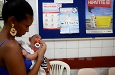 Philippines: premier cas de virus Zika depuis 2012 