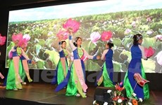Les femmes vietnamiennes en R. tchèque fêtent leur Journée