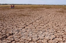 Aide financière pour faire face à la sécheresse et la salinisation