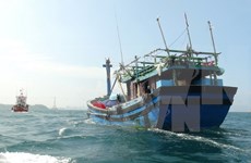 Sauvetage de cinq pêcheurs au large de l'archipel de Hoàng Sa