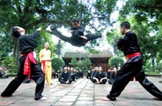 En juillet pour les 1ers Championnats du monde d'arts martiaux traditionnels du Vietnam