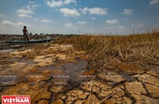 La lutte contre la sécheresse et l'intrusion saline dans le delta du Mékong