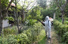 Intensification de l'examen du travail de prévention et de lutte contre le virus Zika